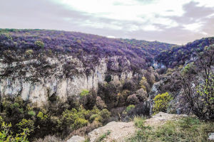 Devetashko-Plateau