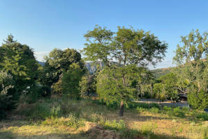 Impressionen von der Natur