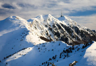 Pirin - Naturschutzgebiet Oreljak