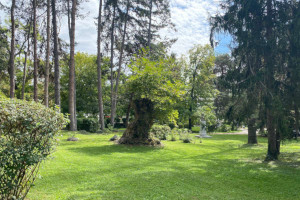 Sandanski Park Sveti Vrach