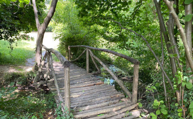 Die Nördliche Schwarzmeerküste in Bulgarien - Botanischer Universitätsgarten