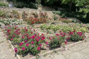 Baltschik - Botanischer Garten Rosengarten