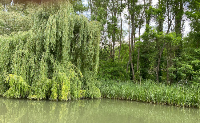 Kamchia - Naturschutzgebiet